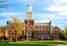 global colleges in the USA